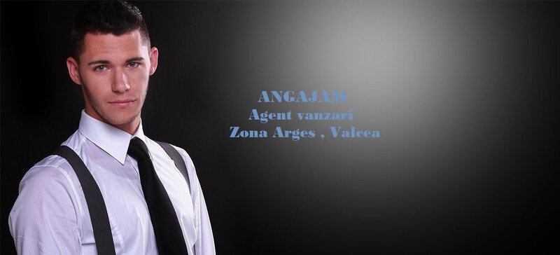 Reprezentant vanzari.